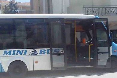 mini-bus (1)