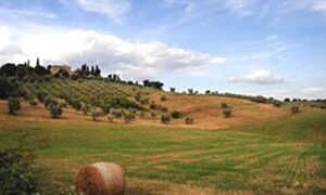 Ημερίδα για την ανάπτυξη της υπαίθρου