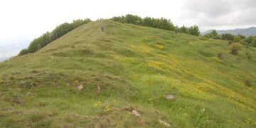 Εξόρμηση ΣΕΟ στο Βόιο