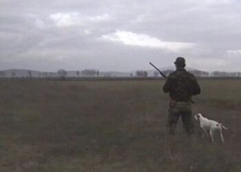 ΦΛΩΡΙΝΑ: Αστυνομική επιχείρηση για την πάταξη λαθροϋλοτομίας και λαθροθηρίας