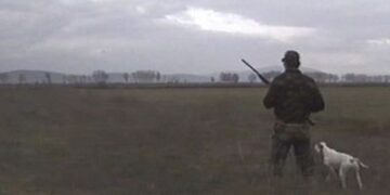 ΦΛΩΡΙΝΑ: Αστυνομική επιχείρηση για την πάταξη λαθροϋλοτομίας και λαθροθηρίας