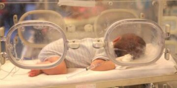 Πάνω από 40 υποθέσεις για κυκλώματα εμπορίας βρεφών