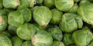 Τι τρως και φουσκώνει η κοιλιά σου;