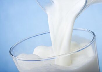 Επιστημονική ημερίδα για τη γαλακτοκομία στη DAIRY EXPO 2013