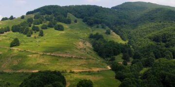 Ο Σ.Ε.Ο. Κοζάνης στο Βίτσι