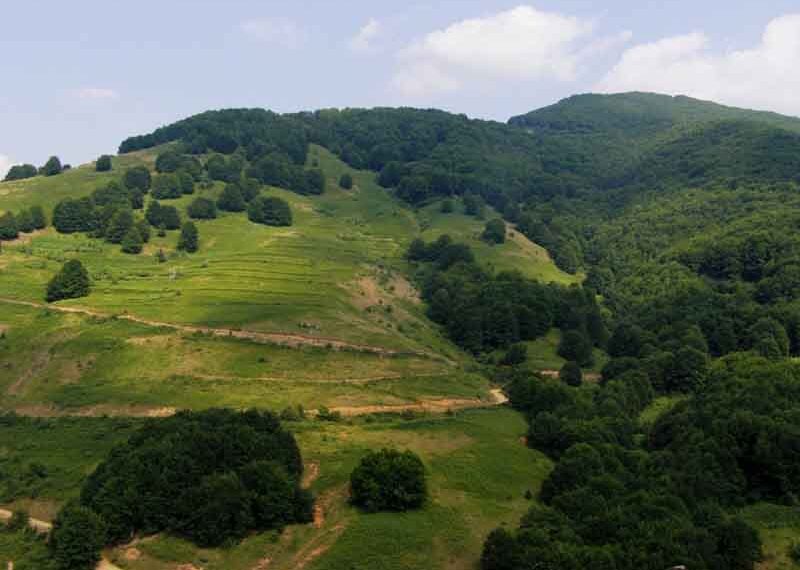 Ο Σ.Ε.Ο. Κοζάνης στο Βίτσι