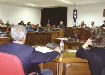 ΔΗΜΟΤΙΚΟ ΣΥΜΒΟΥΛΙΟ ΕΟΡΔΑΙΑΣ: ΟΧΙ στον αποθέτη Ε2 της ΔΕΗ