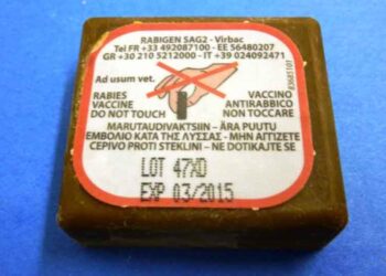 Προστατευτικά μέτρα για έκθεση σε εμβόλιο – δόλωμα