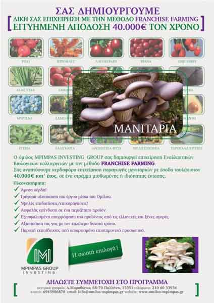 dimiourgikojpg_Page1