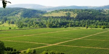 Ημερίδα για το Τοπικό Ολοκληρωμένο Σχέδιο Δράσης ανάπτυξης της υπαίθρου στον Κρόκο