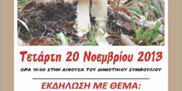 Μανιτάρια και επαγγελματικές ευκαιρίες
