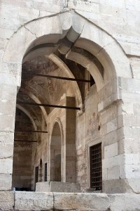 tzami2-thumb-medium