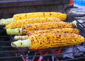 Χορήγηση αδειών στάσιμου εμπορίου