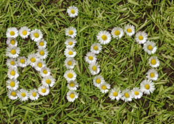 Δικαιούχοι – Απορριφθέντες της «Βιολογικής Γεωργίας»