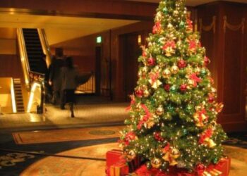 ΚΕΝΤΡΟ ΠΡΟΣΤΑΣΙΑΣ ΚΑΤΑΝΑΛΩΤΩΝ ΔΥΤ. ΜΑΚΕΔΟΝΙΑΣ: Χριστουγεννιάτικα στολίδια και ασφάλεια