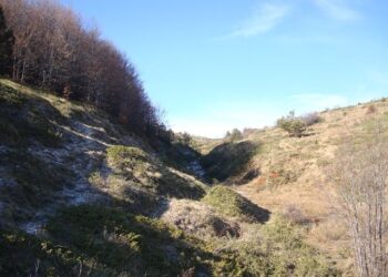 Εξόρμηση Σ.Ε.Ο. στην Πιπερίτσα