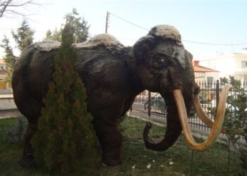 Πρόγραμμα εορταστικών εκδηλώσεων Εορδαίας