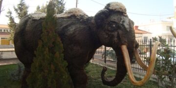 Πρόγραμμα εορταστικών εκδηλώσεων Εορδαίας