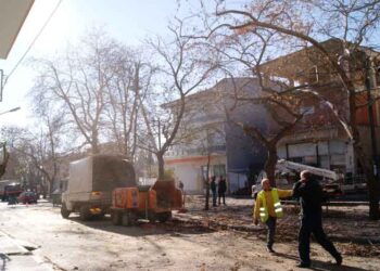 Κλάδεμα δέντρων πραγματοποιεί ο Δήμος Κοζάνης σε όλο το εύρος του