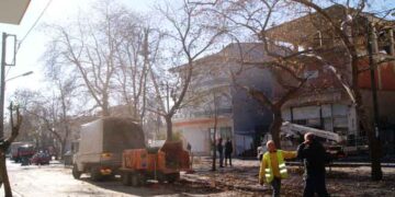 Κλάδεμα δέντρων πραγματοποιεί ο Δήμος Κοζάνης σε όλο το εύρος του