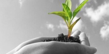 Δενδροφύτευση στο βουνό του Προφήτη Ηλία