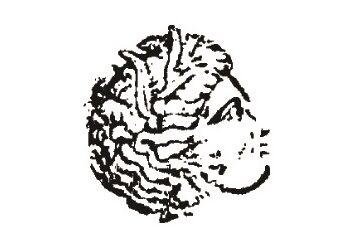 Ψήφισμα της ΠΟΣΓ για τις προσλήψεις στον ΟΠΕΚΕΠΕ και το πρόγραμμα Κοινωφελούς εργασίας