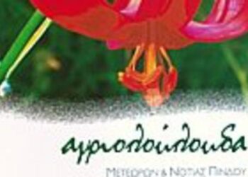 Αγριολούλουδα με φαρμακευτικές ιδιότητες