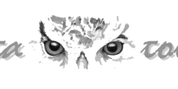 5ο Γυμνάσιο: Οι φίλοι της Μυρτώς