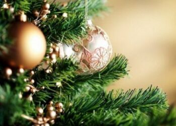 ΚΕΠΚΑ: Κόστος Χριστουγεννιάτικου Δέντρου