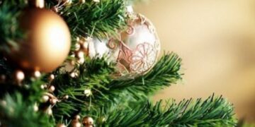 ΚΕΠΚΑ: Κόστος Χριστουγεννιάτικου Δέντρου