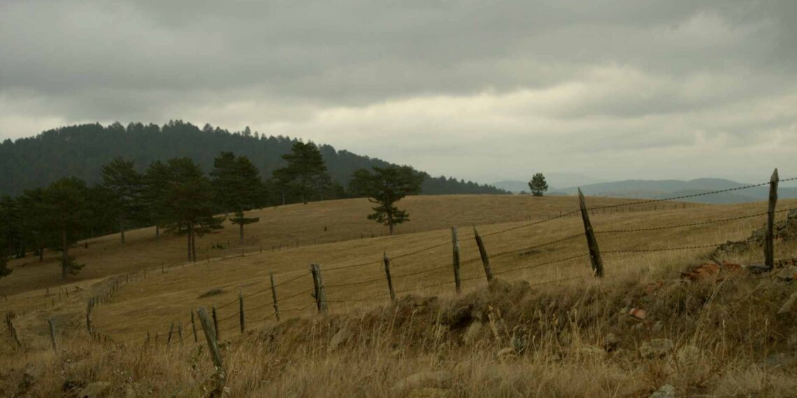 Προβολή ταινίας σήμερα στην Πτολεμαΐδα