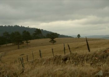 Προβολή ταινίας σήμερα στην Πτολεμαΐδα