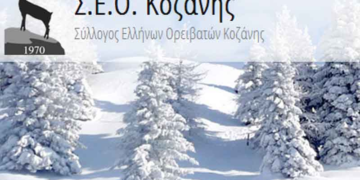 Ψήφισμα ΣΕΟ Κοζάνης