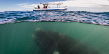 Ο φωτογράφος ήταν στο κατάλληλο μέρος την κατάλληλη στιγμή