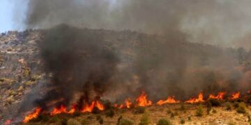 Κυρώσεις για άναμμα φωτιάς και καύση σιτοκαλαμιών