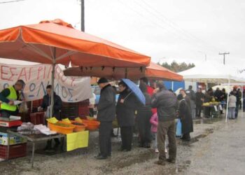 ΠΤΟΛΕΜΑΪΔΑ: Διάθεση Τροφίμων “Χωρίς Μεσάζοντες”