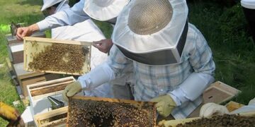 Σύσκεψη για την προστασία των καλλιεργητών και των μελισσοκόμων της Καστοριάς από επιθέσεις αρκούδας