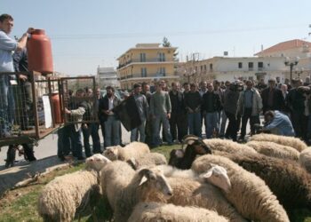 Συλλαλητήριο των Κτηνοτρόφων στα Γρεβενά