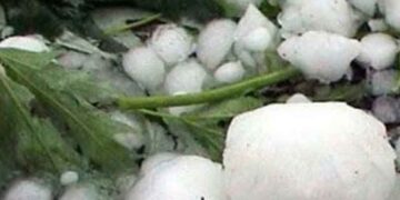 Εκτεταμένες ζημίες από χαλαζόπτωση στο Βόιο