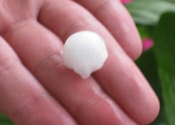 Νέες ζημίες από χαλαζόπτωση στην Εορδαία