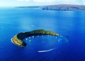 ΜΑΓΙΚΕΣ ΕΙΚΟΝΕΣ: Καταδύσεις στο… μισοφέγγαρο του Molokini!