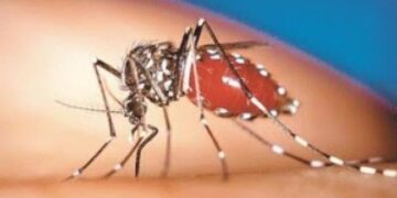 Δέκα παράξενα στοιχεία για τα κουνούπια!