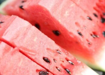 CREATOR: gd-jpeg v1.0 (using IJG JPEG v62), quality = 90