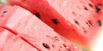 CREATOR: gd-jpeg v1.0 (using IJG JPEG v62), quality = 90