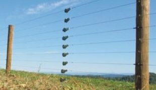 Πρόσκληση εκδήλωσης ενδιαφέροντος για την αγορά ηλεκτροφόρου περίφραξης για προστασία από αρκούδα