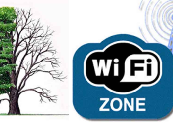 Μαθητές έδειξαν ότι τα φυτά δεν μεγαλώνουν κοντά σε Wi-Fi routers