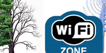 Μαθητές έδειξαν ότι τα φυτά δεν μεγαλώνουν κοντά σε Wi-Fi routers