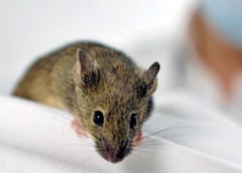 Ένα παραμύθι για μεγάλους !!!