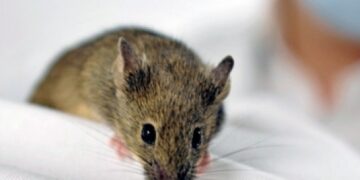 Ένα παραμύθι για μεγάλους !!!