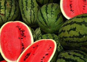 Το μυστικό για να διαλέγετε πάντα το τέλειο καρπούζι